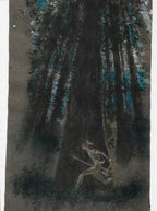 American Indian Portfolio