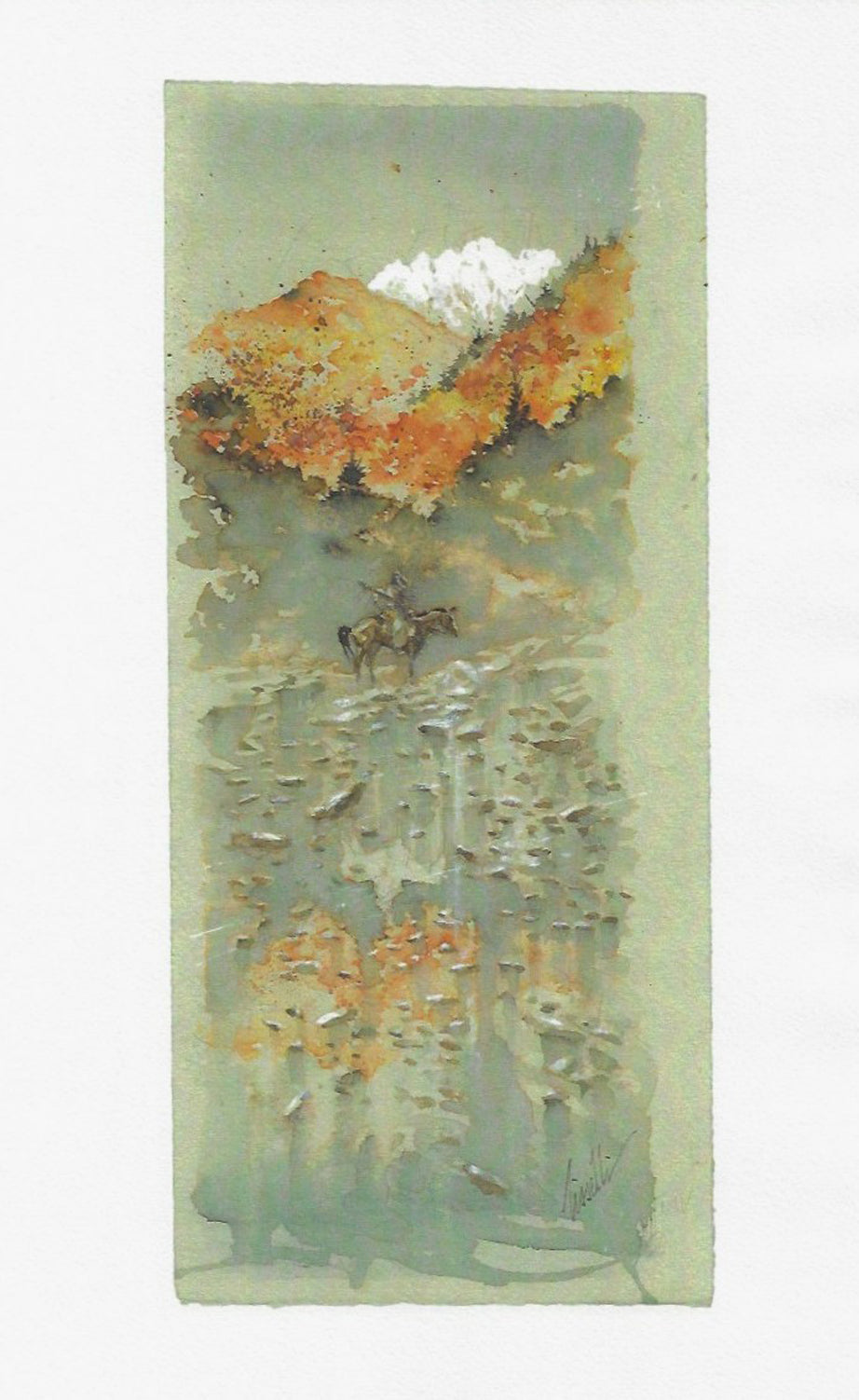 Portfolio Indiani D'America