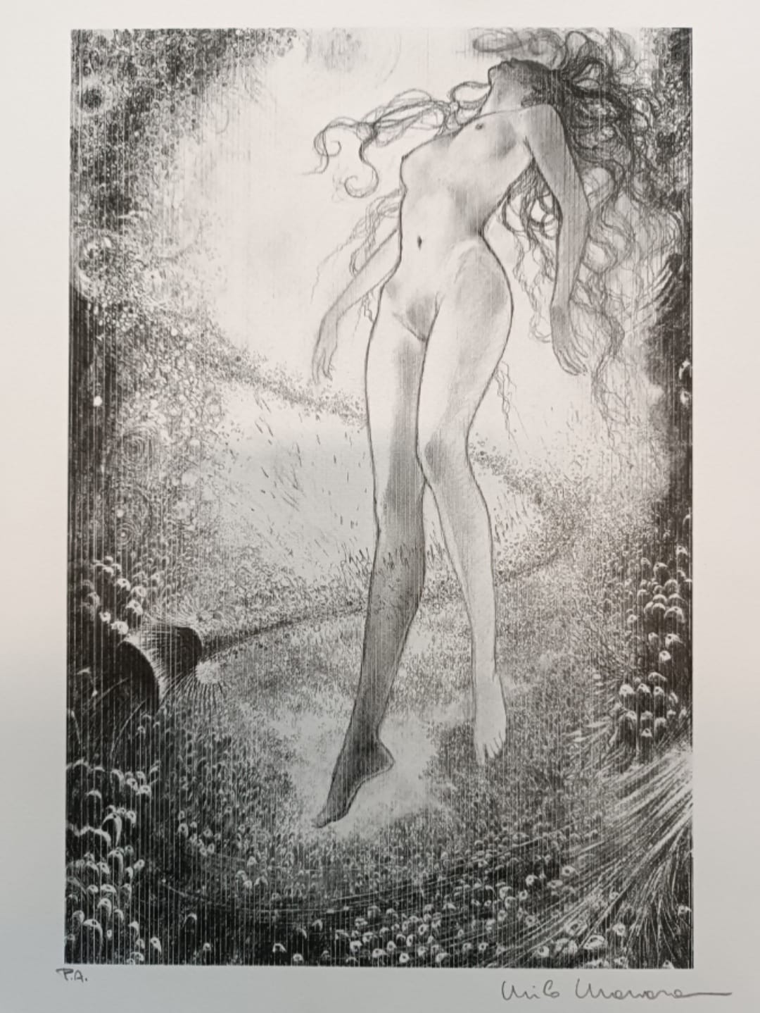 Stampa Firmata Iliade Soggetto 2