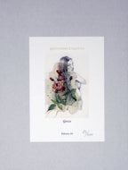 Casotto Portfolio Watercolors with original drawing 1