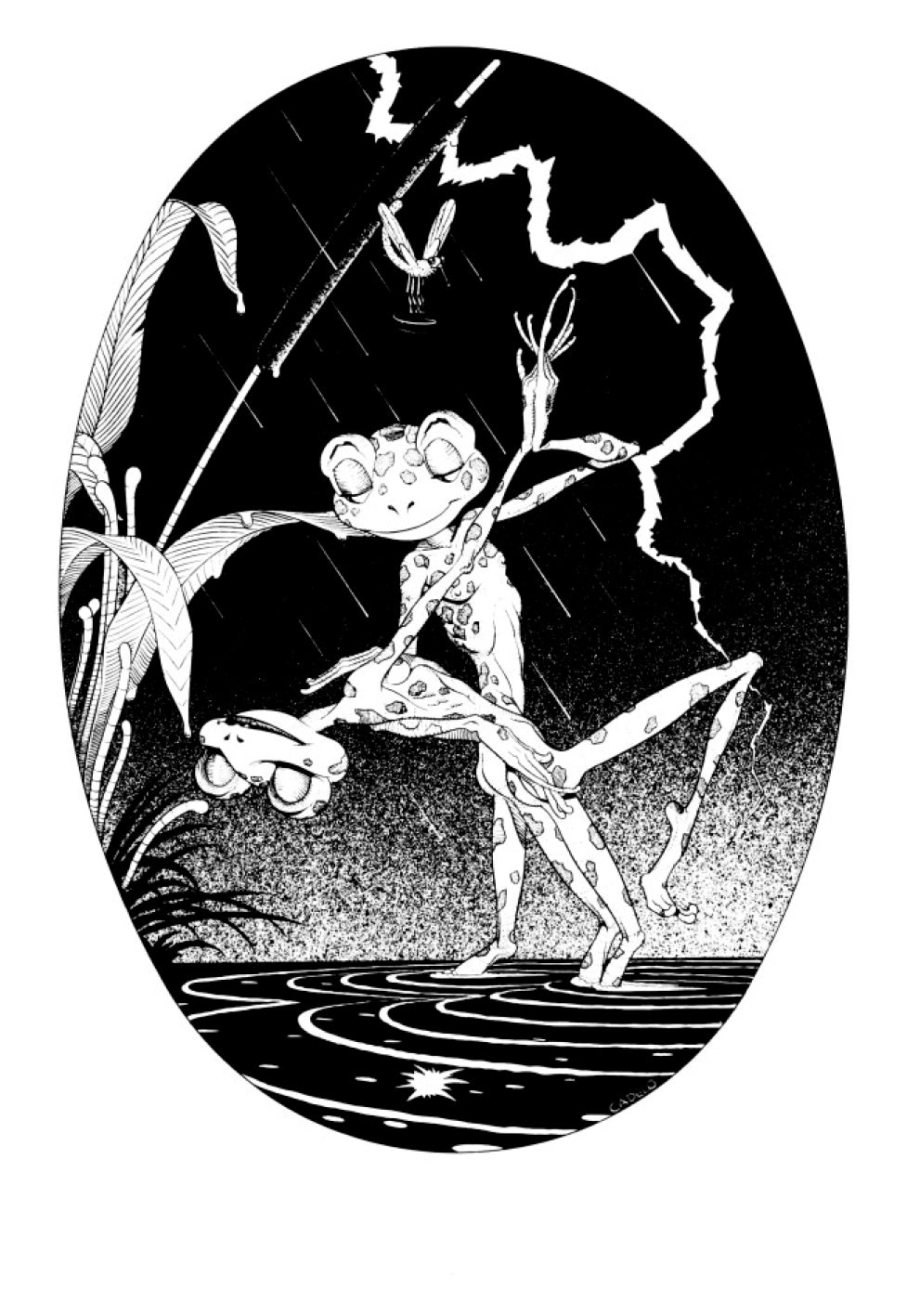 Autori Vari, Portfolio I TANGHI DI TANGO