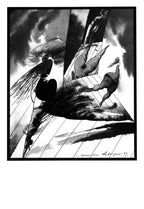 Autori Vari, Portfolio I TANGHI DI TANGO