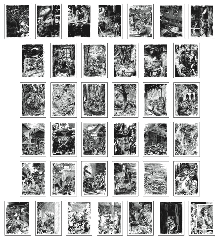 Portfolio Pinocchio Diamante - Grifo Edizioni