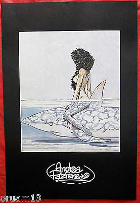 Poster Betta E Lo Squalo - Grifo Edizioni