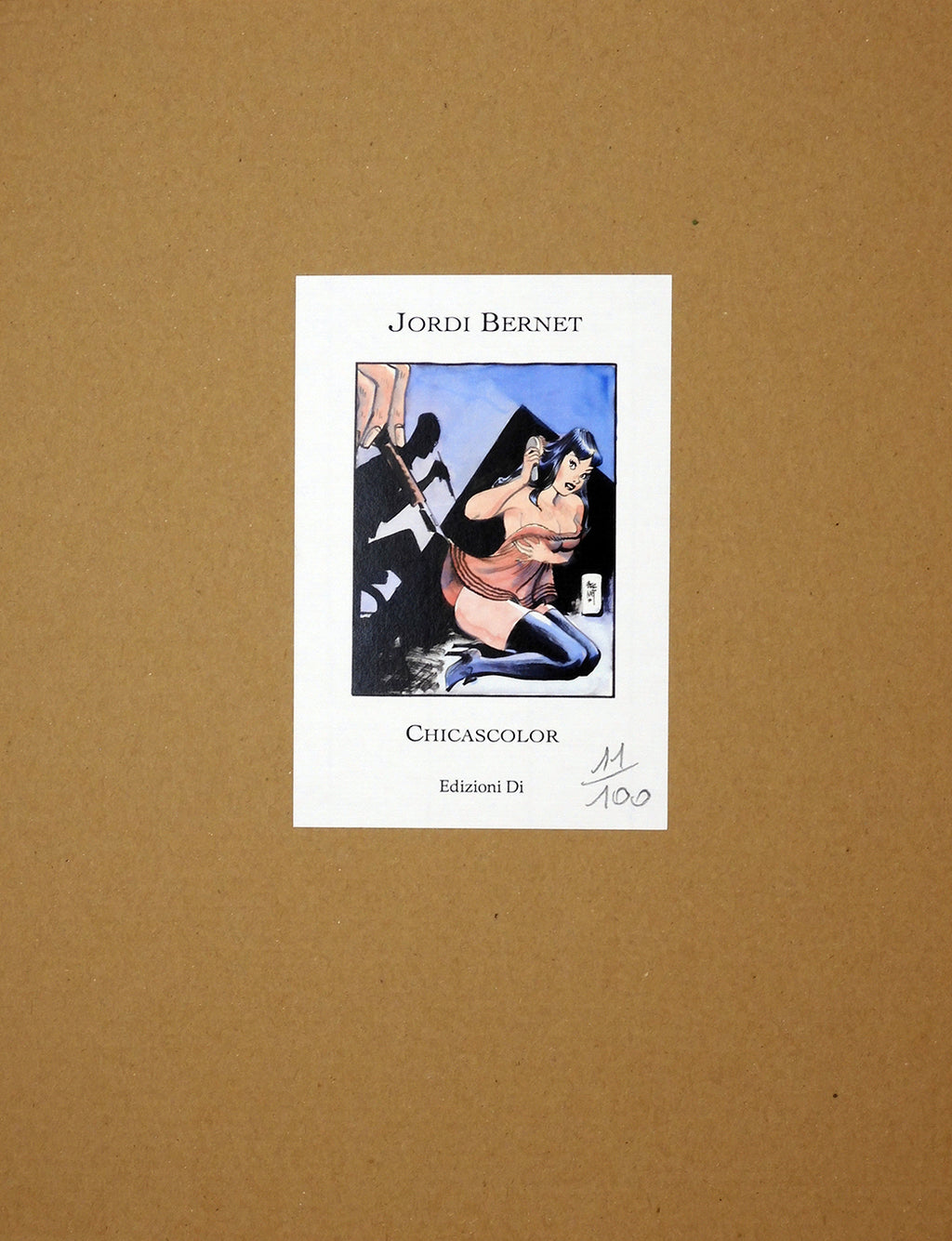 Portfolio Chicascolor