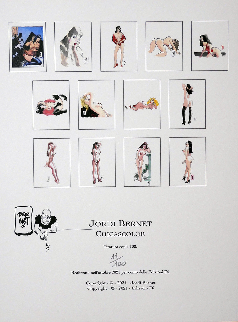 Portfolio Chicascolor