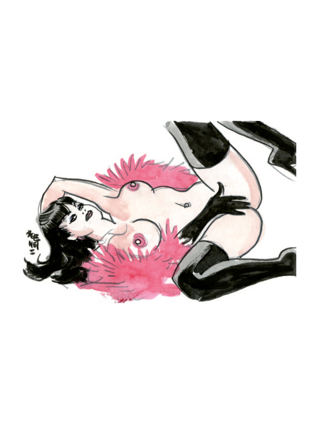 Portfolio Chicascolor