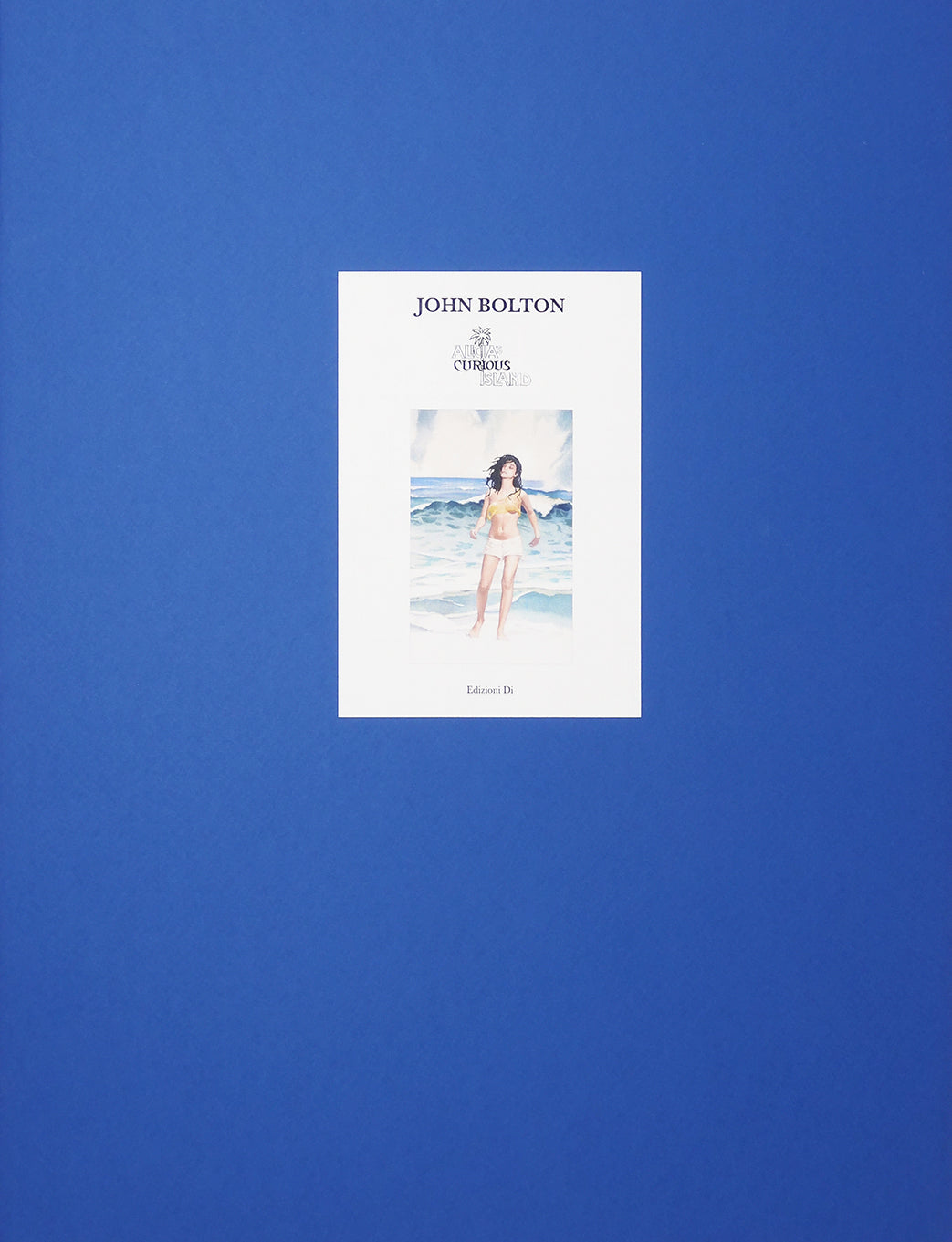 John Bolton Portfolio "Alicia's"