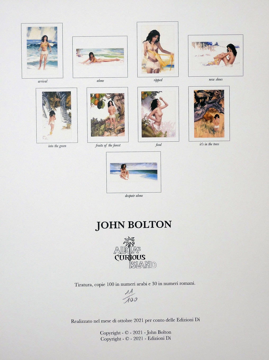 John Bolton Portfolio "Alicia's"