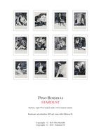 Portfolio Stardust - Grifo Edizioni