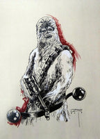 Portfolio Star Wars - Grifo Edizioni