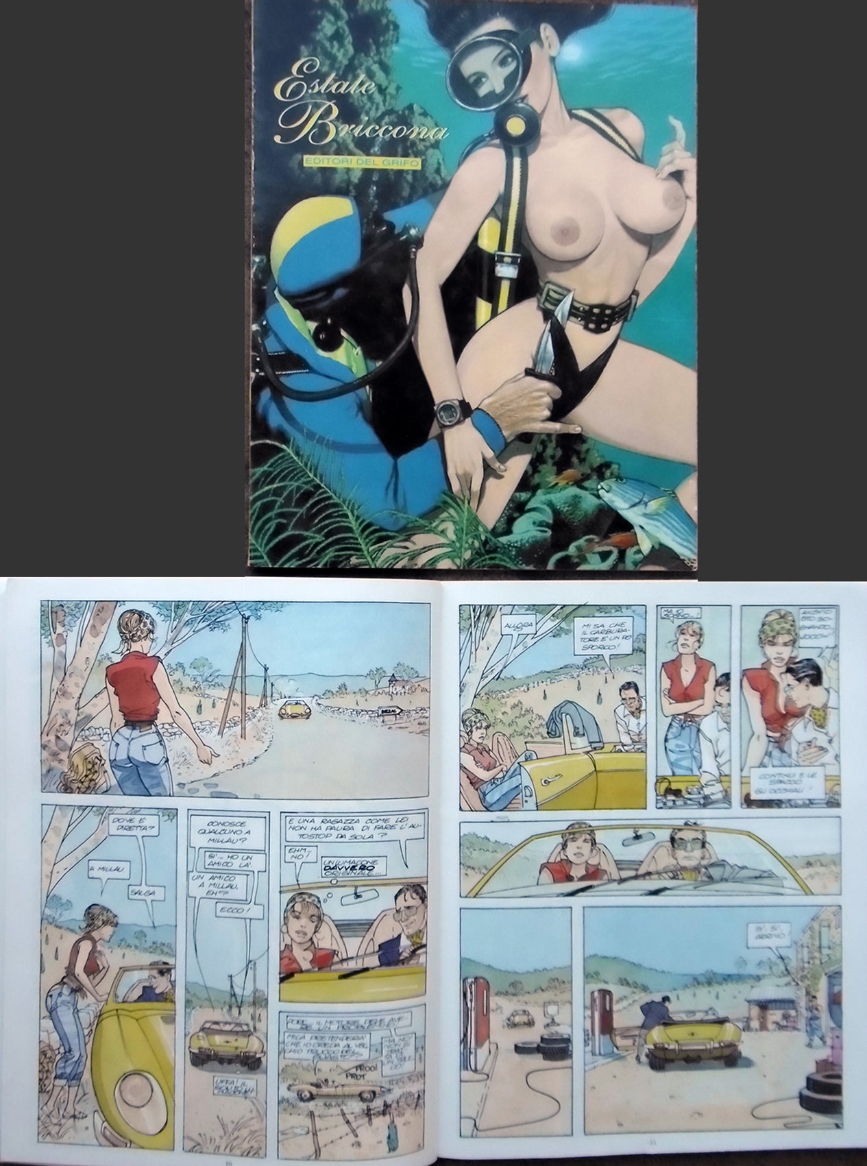 Vari Volume Estate Briccona - Grifo Edizioni