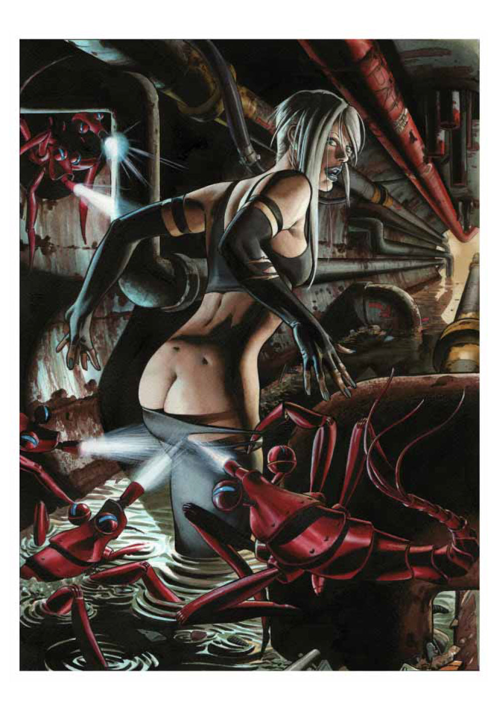 Portfolio Strap Special