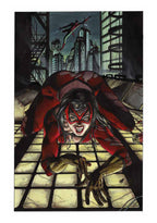 Portfolio Strap Special 