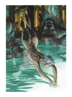 White Termite Portfolio "Nigredo" 