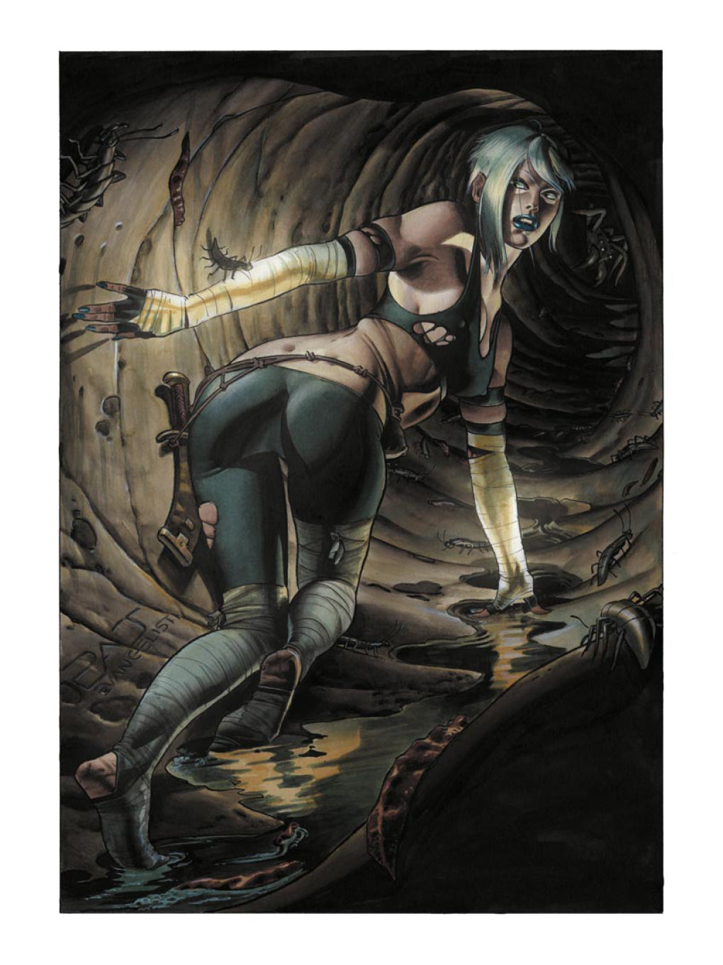 Portfolio Termite Bianca "Nigredo" P.A.