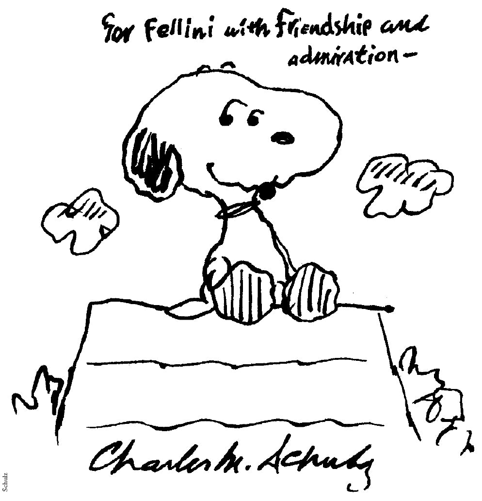 Portfolio Fellini Sognato