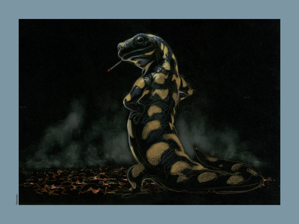 Frezzato Portfolio Bestiario