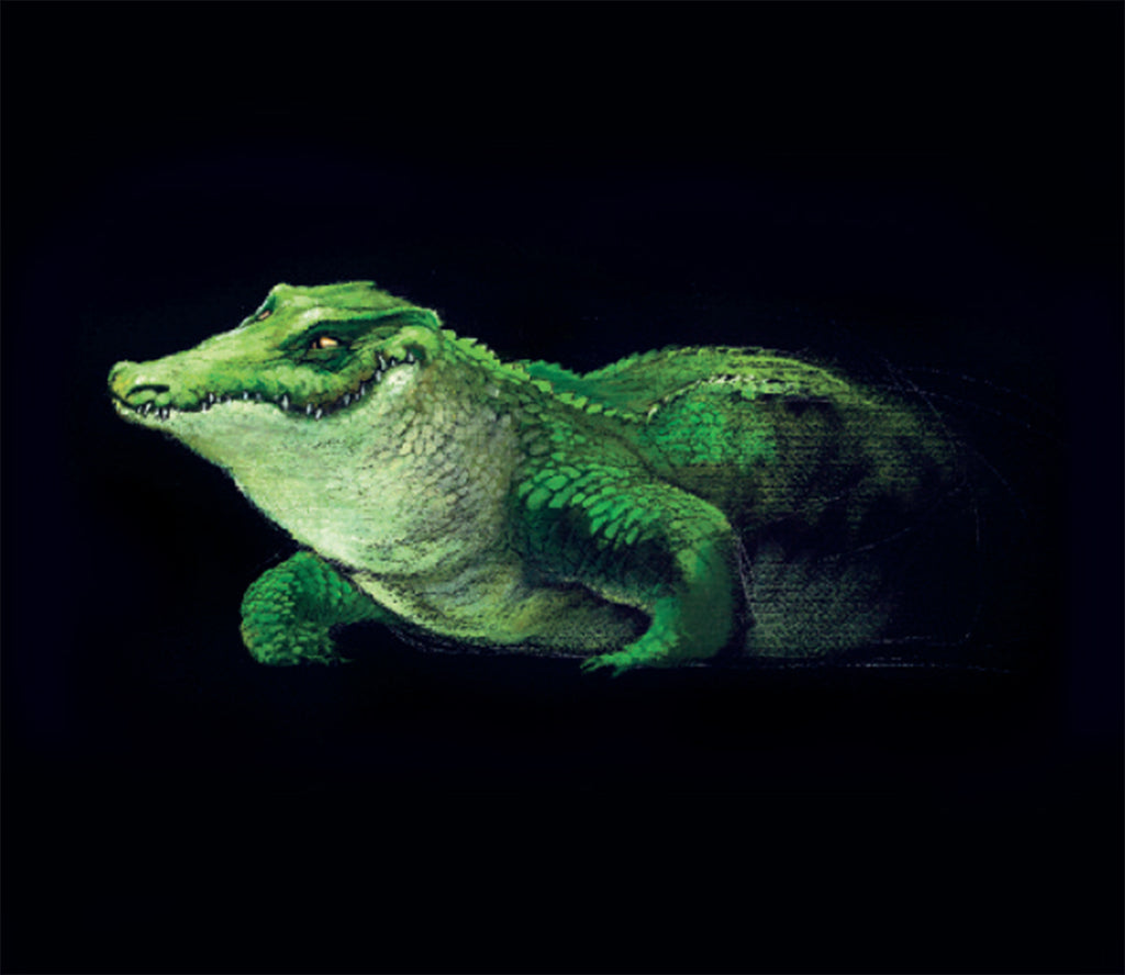 Portfolio Peter Pan numerato, Firmato - Grifo Edizioni