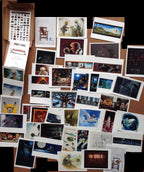 Portfolio Pinocchio Cartolina - Grifo Edizioni