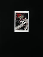 Portfolio Pin Ups - Grifo Edizioni