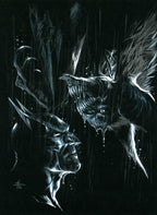 Portfolio Shadow - Grifo Edizioni