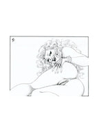 Portfolio Il Principe Nel Suo Giardino 1 - Grifo Edizioni