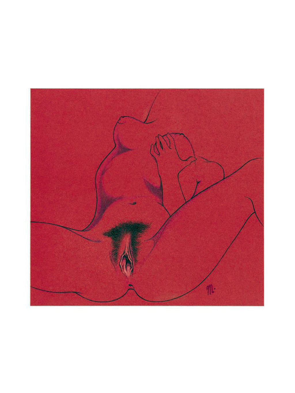 Portfolio Il Principe Nel Suo Giardino 2 - Grifo Edizioni