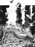Manara Stamponi Fantasex 1/19