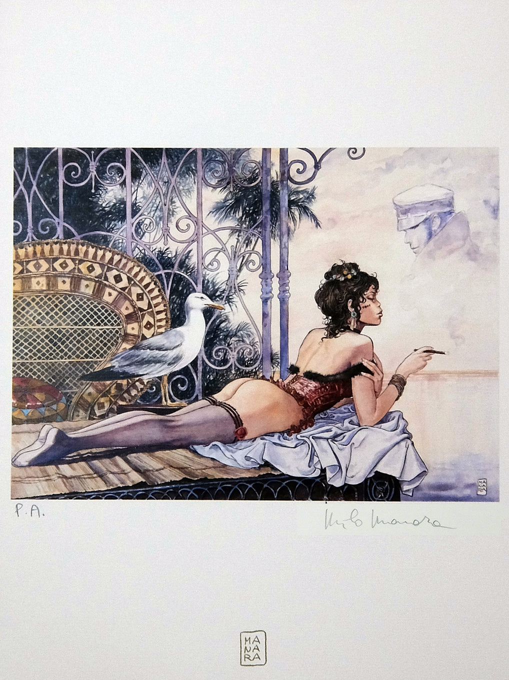 Portfolio Desirables P.A.