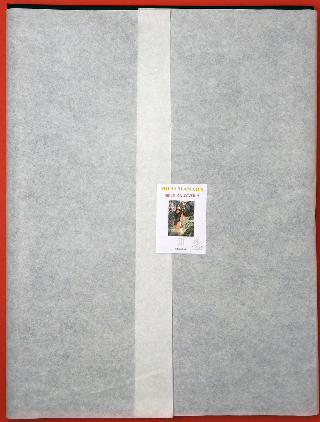 Portfolio Girls on Cover 2