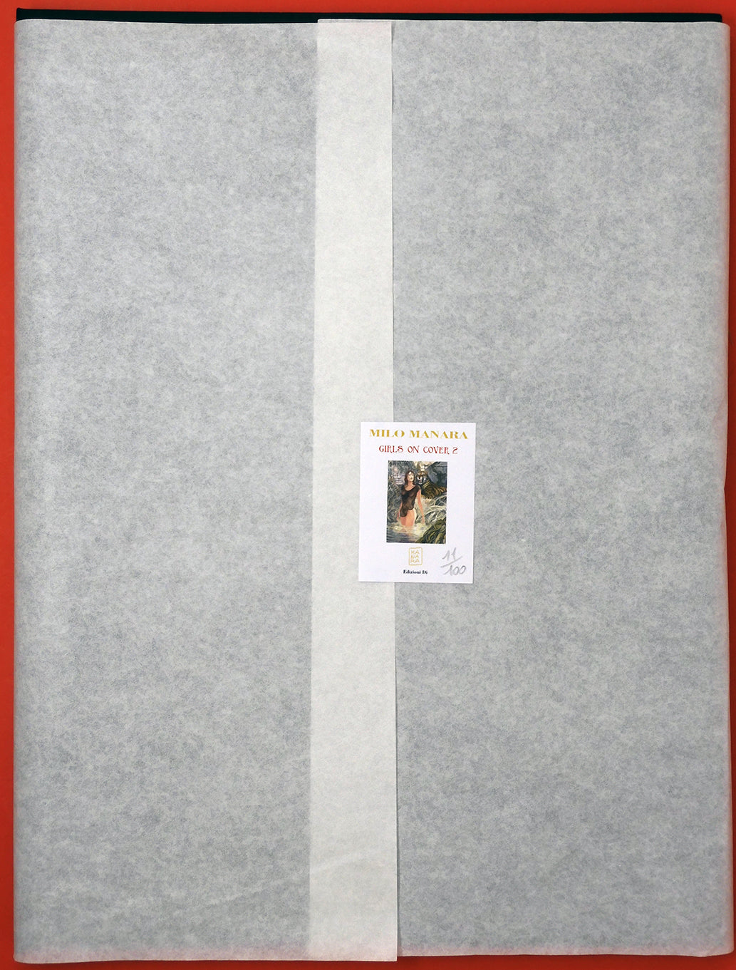 Portfolio Girls on Cover 2