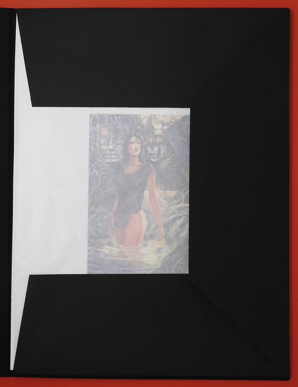 Portfolio Girls on Cover 2