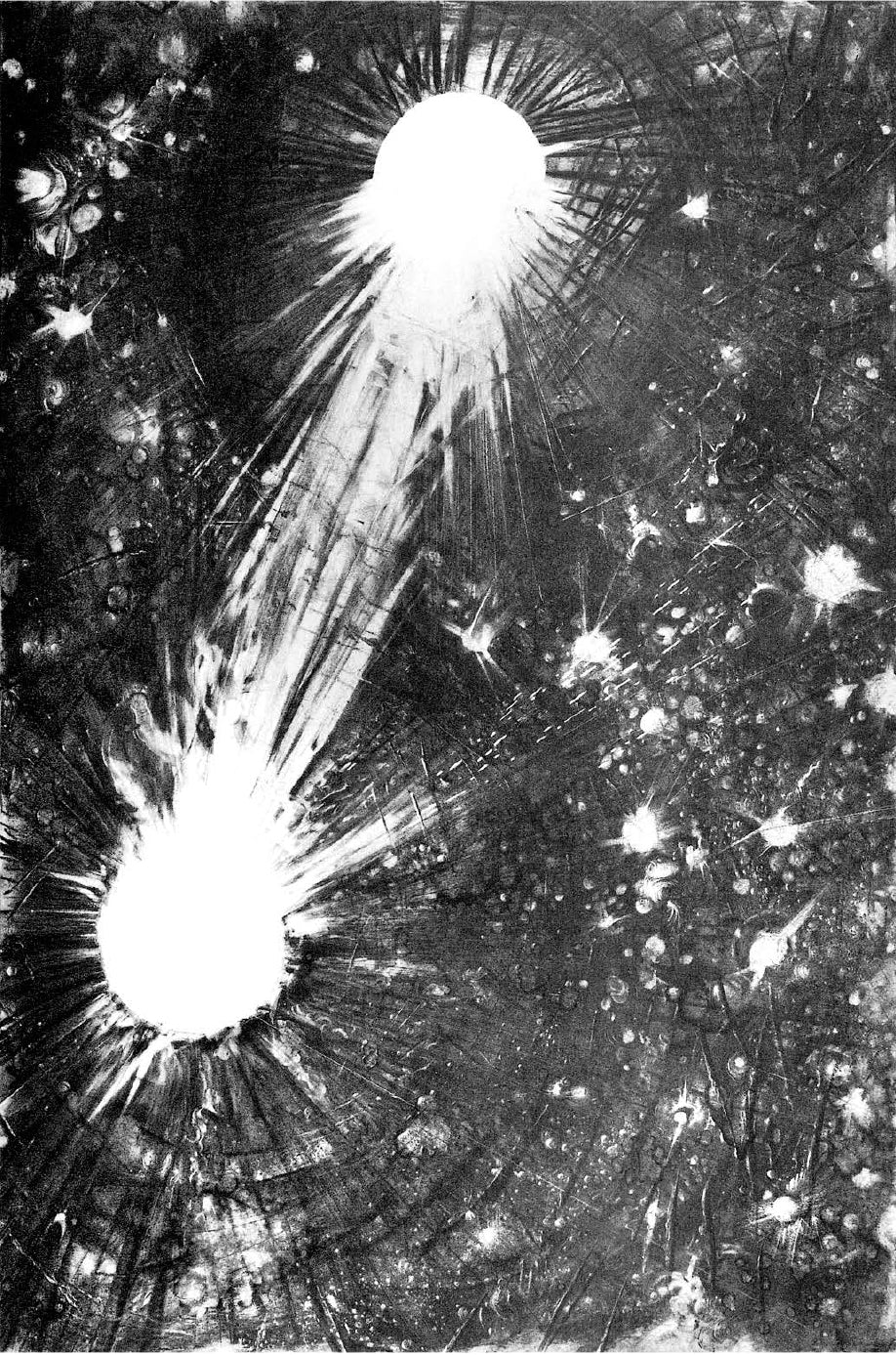 Portfolio Iliade integrale Numerato Non Firmato - Grifo Edizioni