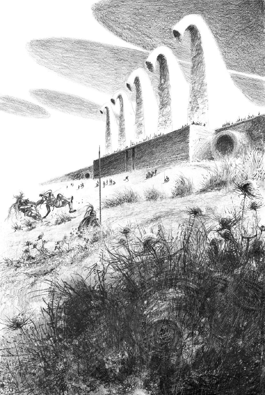 Portfolio Iliade integrale Numerato Non Firmato - Grifo Edizioni