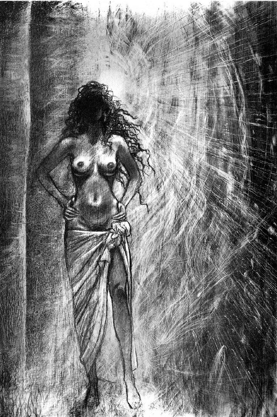 Portfolio Iliade integrale Numerato Non Firmato - Grifo Edizioni