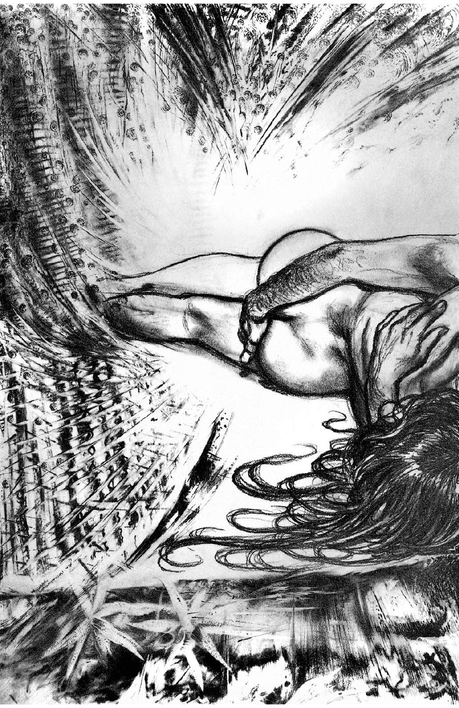 Portfolio Iliade integrale Numerato Non Firmato - Grifo Edizioni