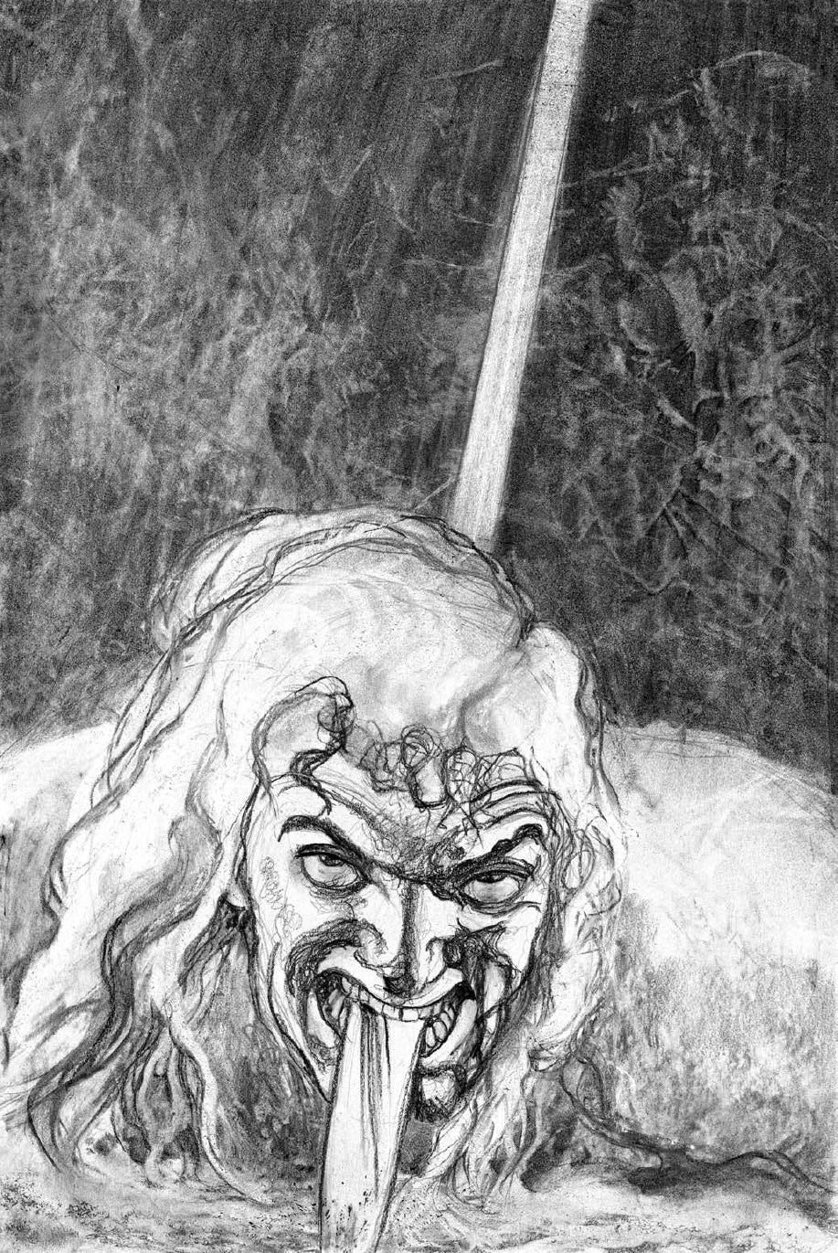 Portfolio Iliade integrale Numerato Non Firmato - Grifo Edizioni