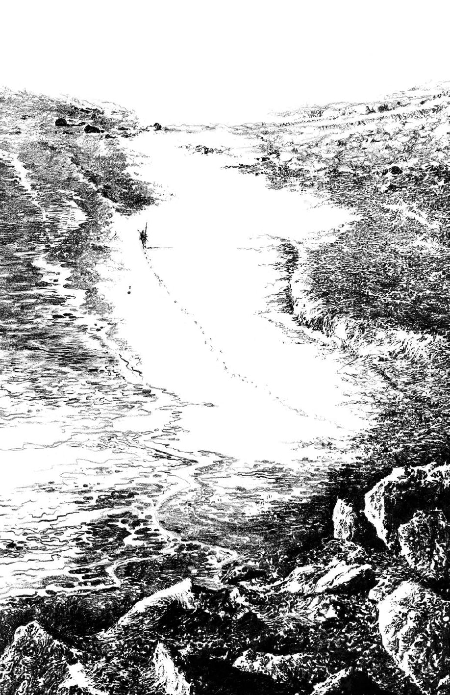 Portfolio Iliade integrale Numerato Non Firmato - Grifo Edizioni