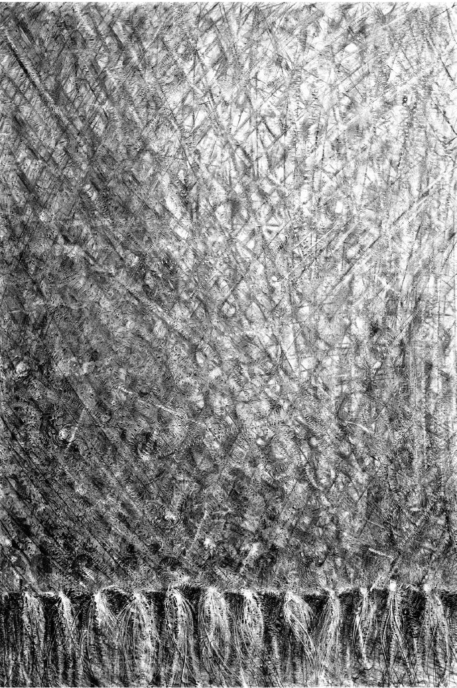 Portfolio Iliade integrale Numerato Non Firmato - Grifo Edizioni