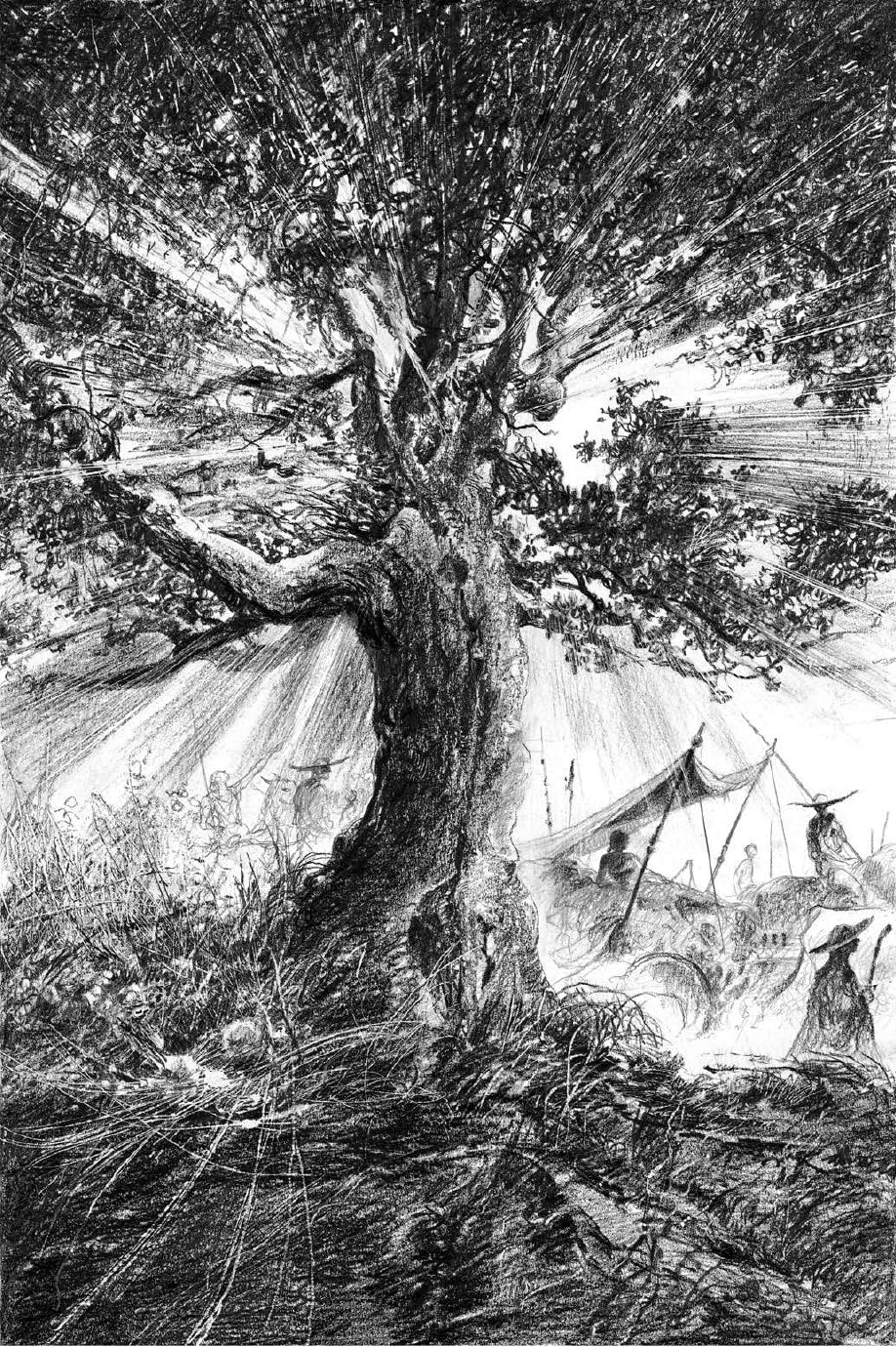 Portfolio Iliade integrale Numerato Non Firmato - Grifo Edizioni