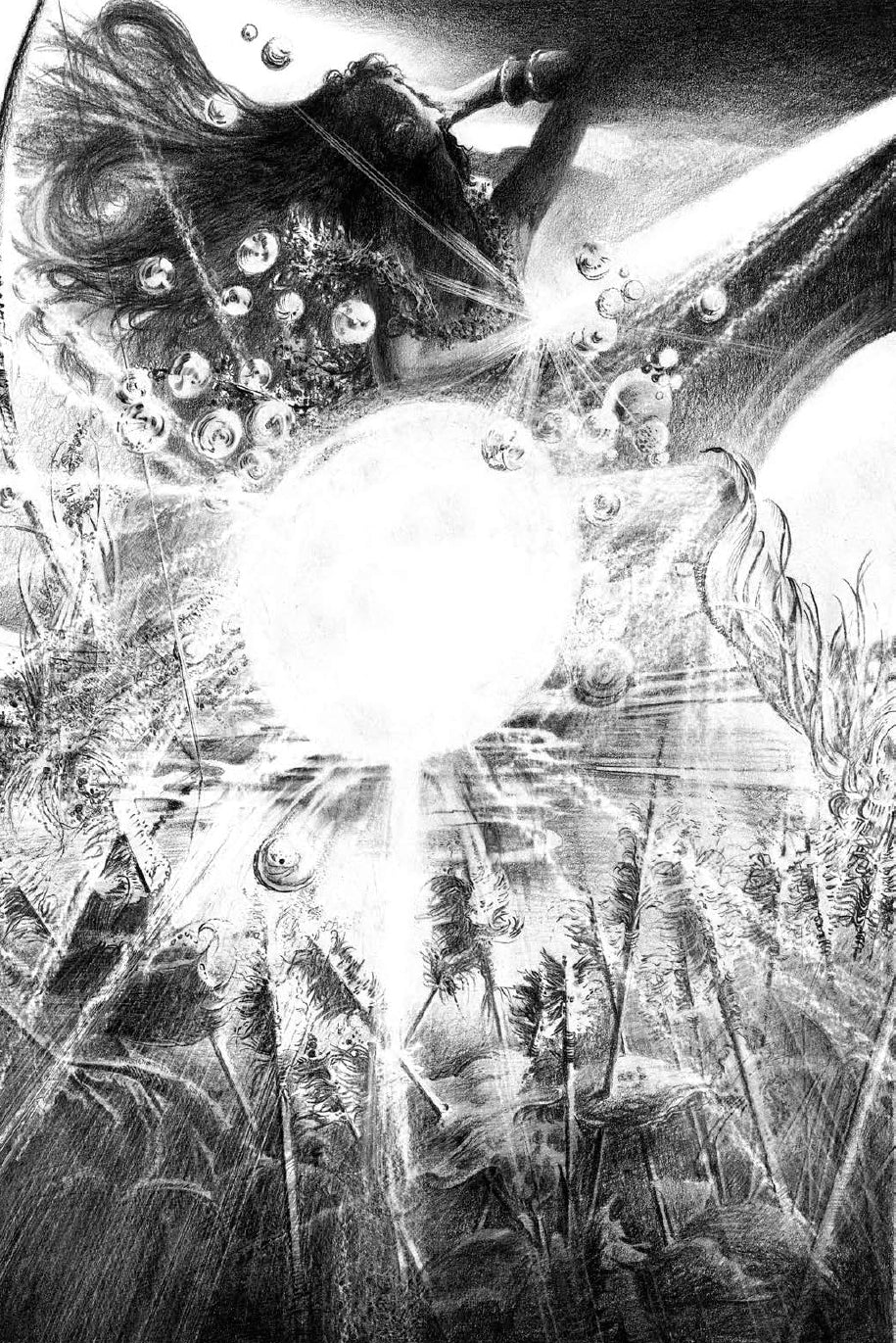 Portfolio Iliade integrale Numerato Non Firmato - Grifo Edizioni