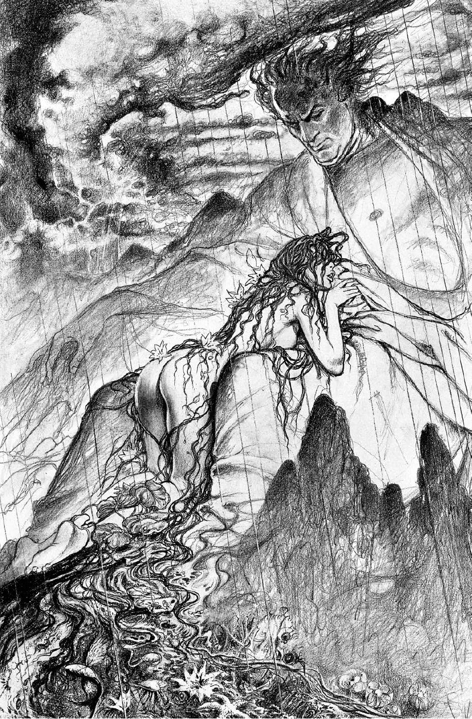 Portfolio Iliade integrale Numerato Non Firmato - Grifo Edizioni