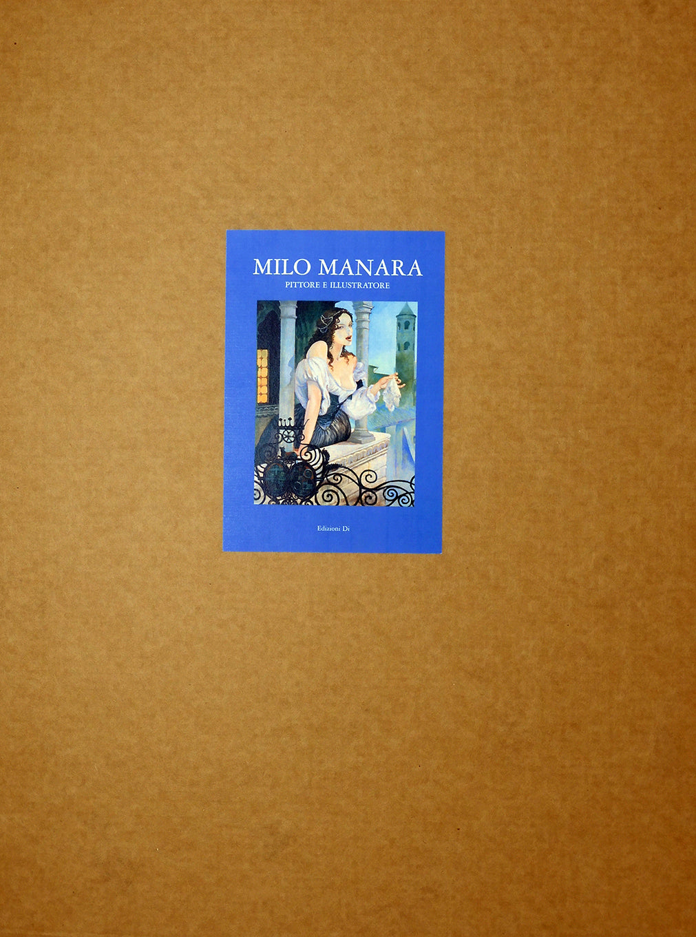 Portfolio PITTORE E ILLUSTRATORE - P.A. -