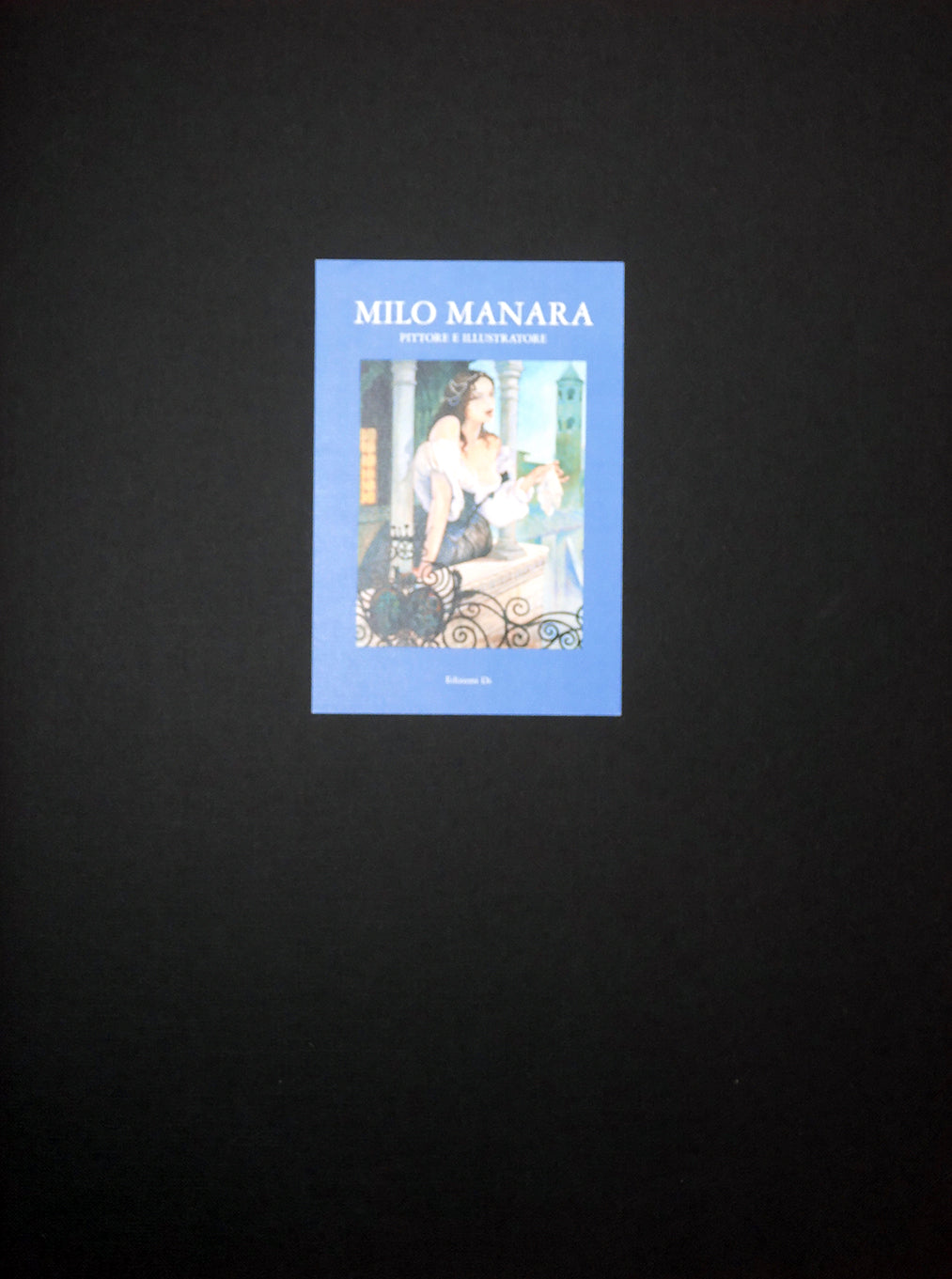 Portfolio PITTORE E ILLUSTRATORE - P.A. -