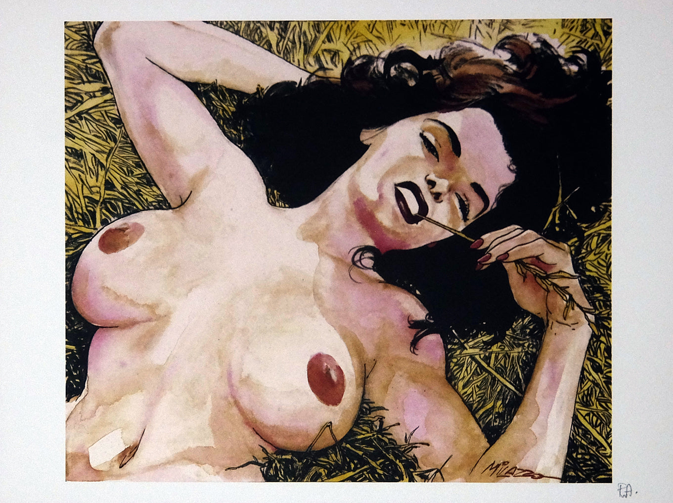 Portfolio Avventura Donna - Grifo Edizioni