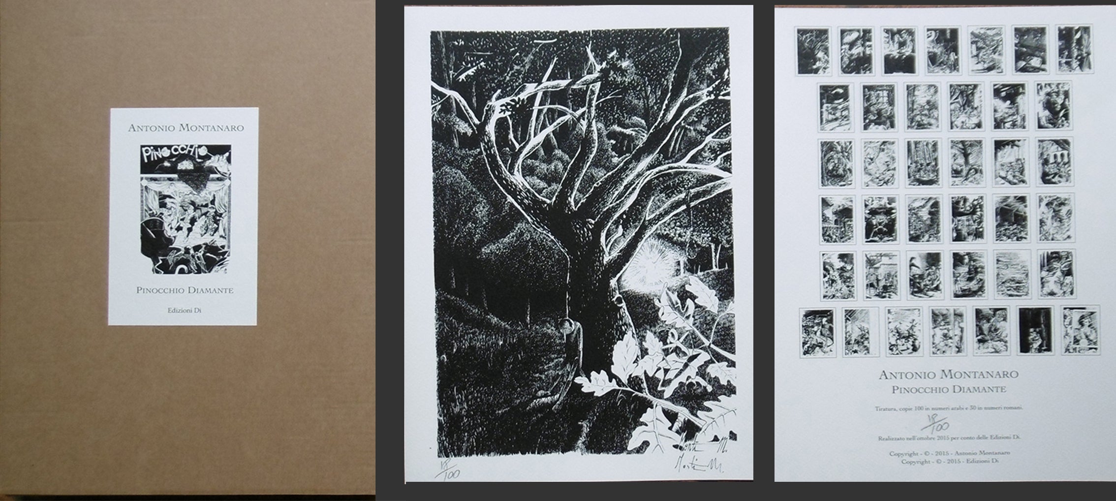 Portfolio Pinocchio Diamante - Grifo Edizioni