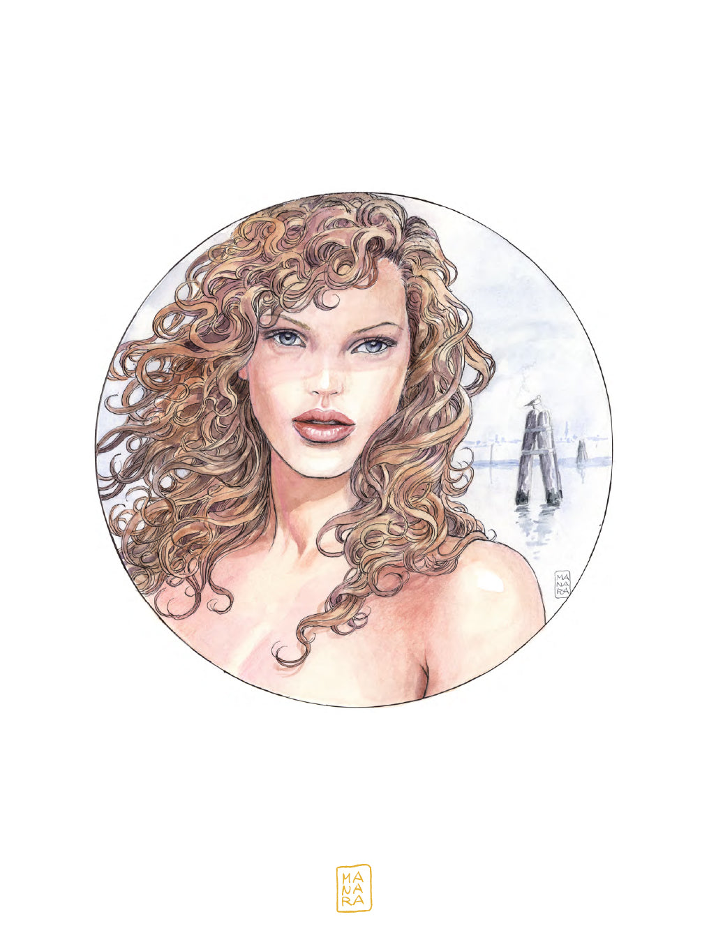 Portfolio Desirables P.A.