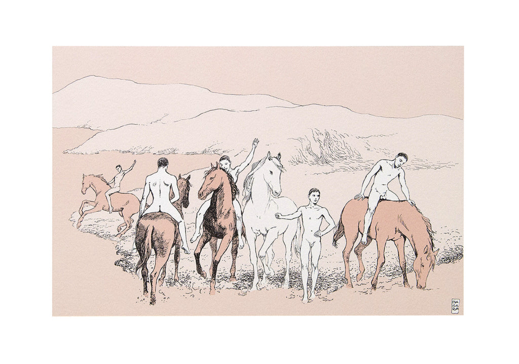 Portfolio Picasso 347 - Grifo Edizioni