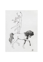 Portfolio Picasso 347 - Grifo Edizioni